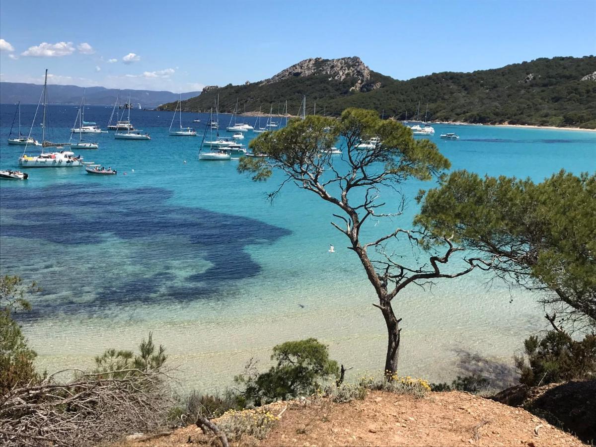 Chambre Luxe Dans Villa De Standing Avec Piscine, Acces Discret Et Independant, Terrasse Arboree Et Parking Prive La Valette-du-Var Kültér fotó