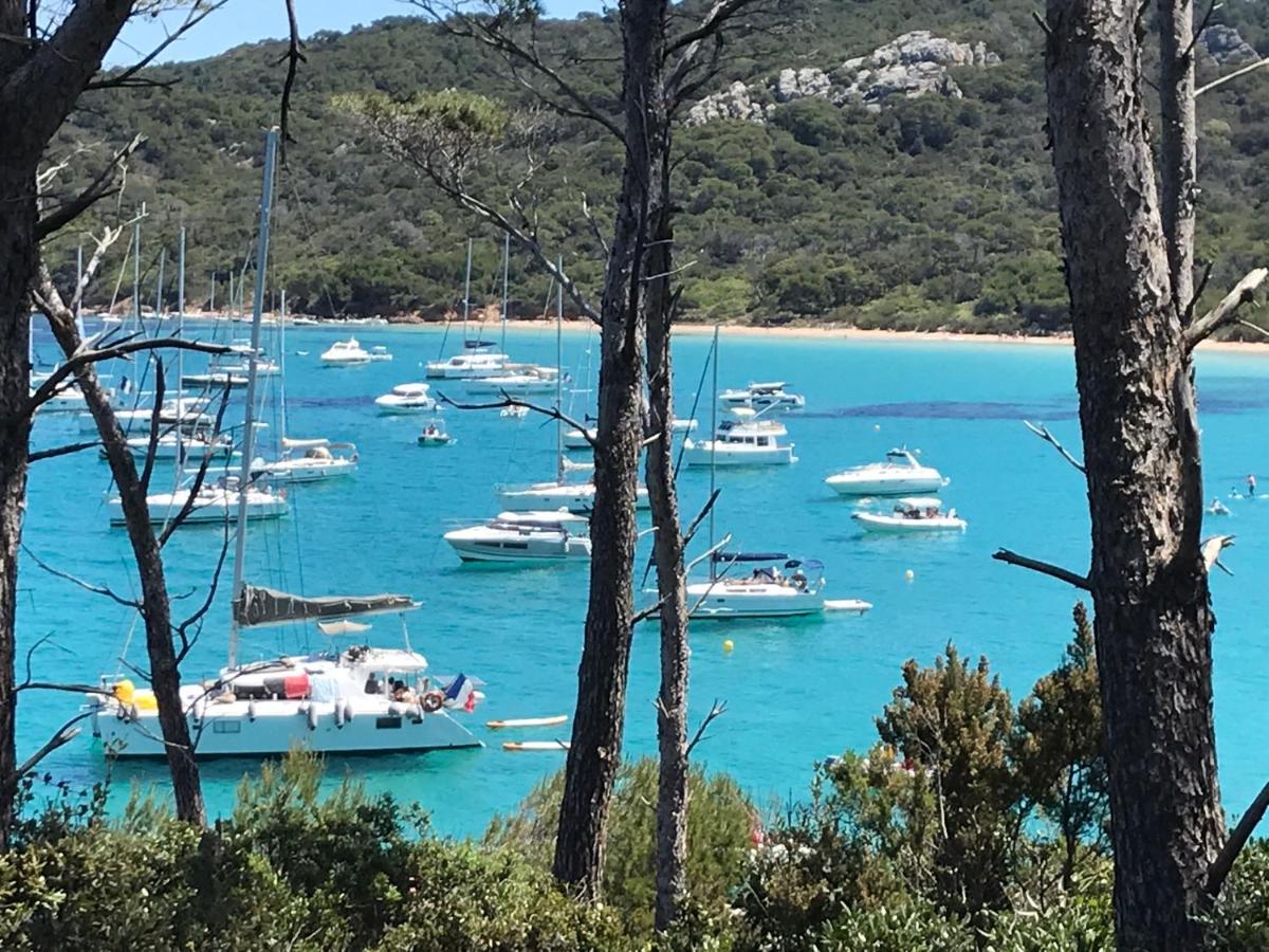 Chambre Luxe Dans Villa De Standing Avec Piscine, Acces Discret Et Independant, Terrasse Arboree Et Parking Prive La Valette-du-Var Kültér fotó
